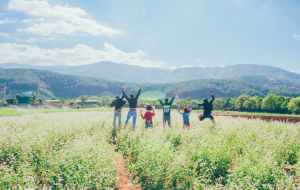 open field with 6 people jumping around and  background of mountains.